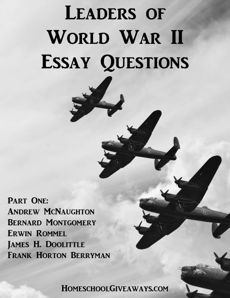 World war i essay questions
