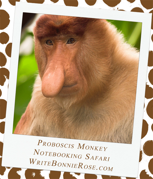 Notebooking Safari – Brunei and Proboscis Monkey