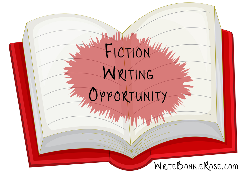 Fiction Writing Opportunity!