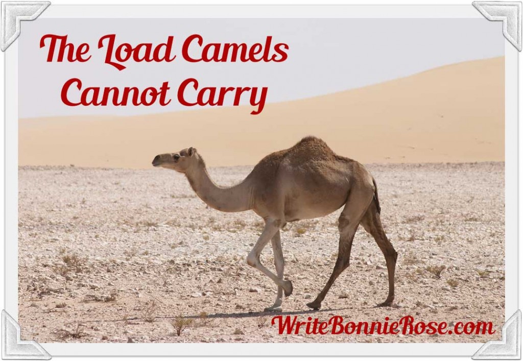 The Load Camels Cannot Carry