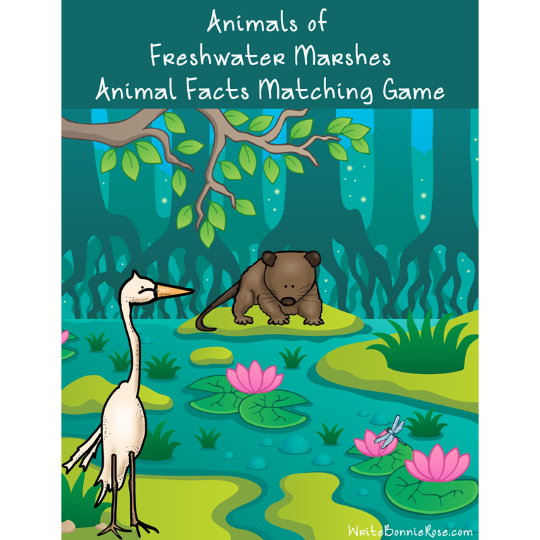 Animals of Freshwater Marshes Cover for WBR