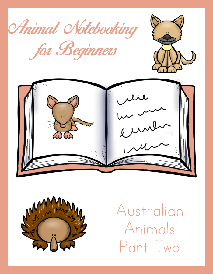 Animal Notebooking for Beginners, Australian Animals Part Two