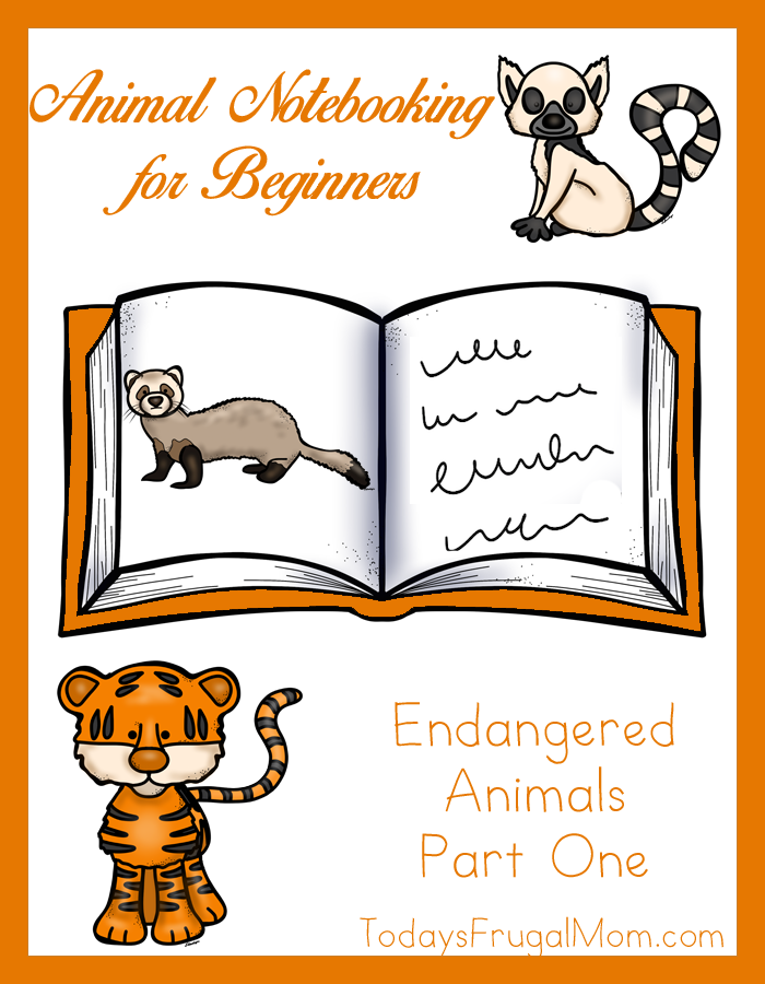Animal Notebooking for Beginners – Endangered Animals, Pt. 1