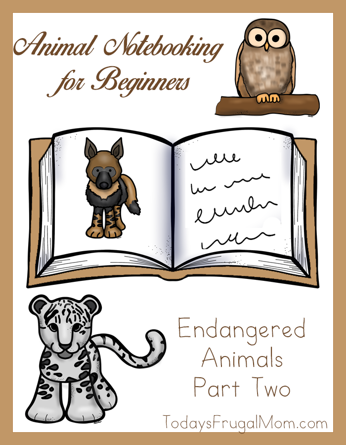 Animal Notebooking for Beginners, Endangered Animals, Pt. 2