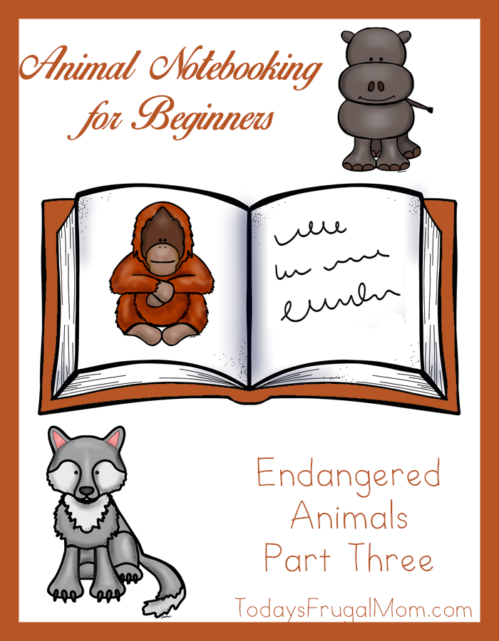 Animal Notebooking for Beginners, Endangered Animals, Pt. 3
