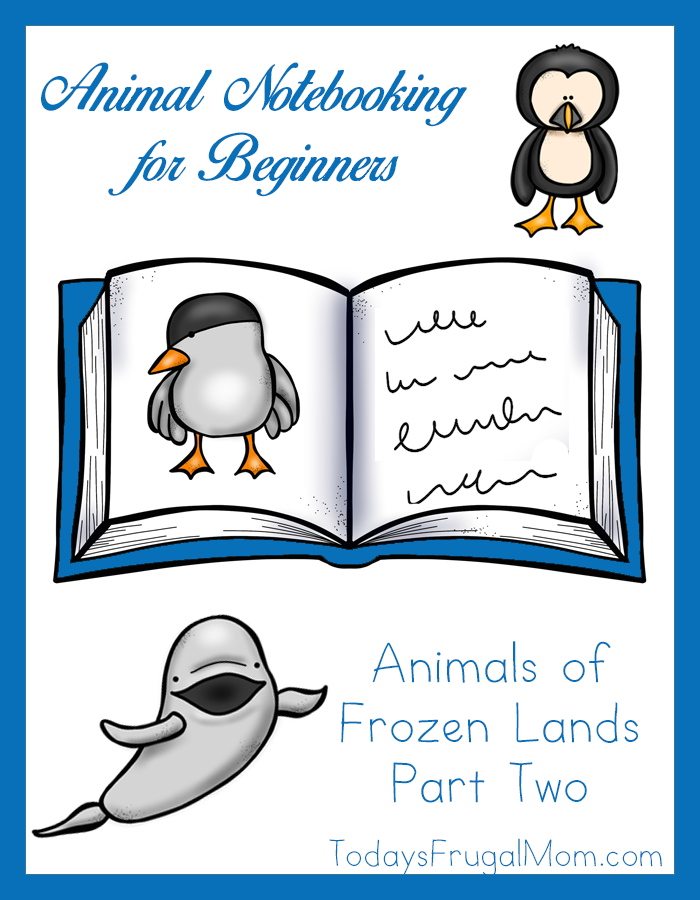 Animal Notebooking for Beginners, Animals of Frozen Lands, Pt. 2