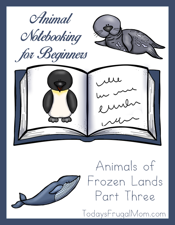 Animal Notebooking for Beginners, Animals of Frozen Lands, Pt. 3