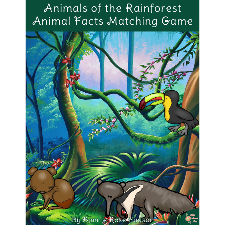 Animals of the Rainforest: Animal Facts Matching Game 