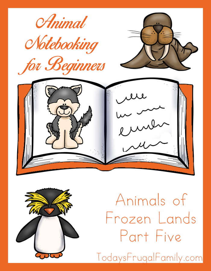 Animal Notebooking for Beginners, Animals of Frozen Lands, Pt. 5