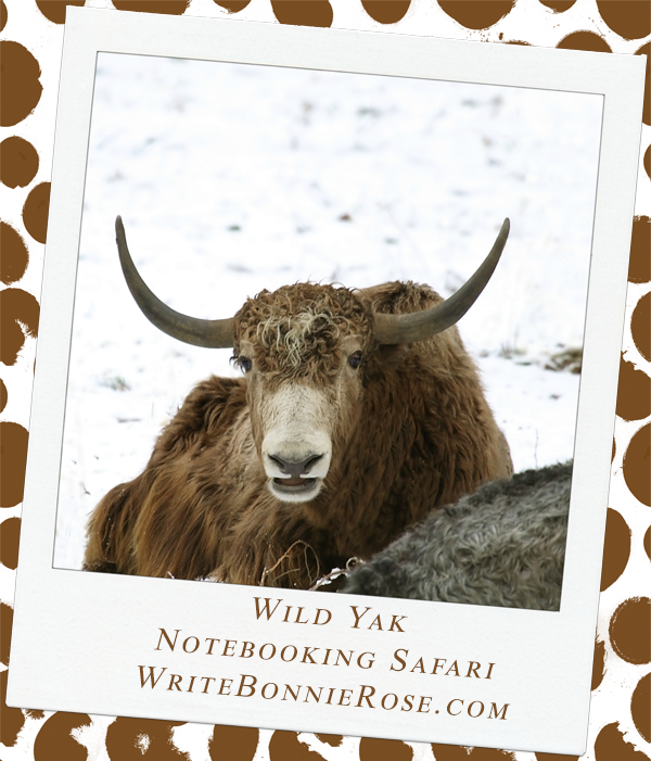 Notebooking Safari-India and the Wild Yak