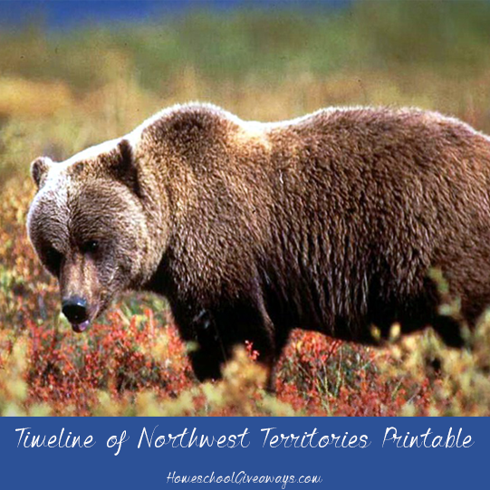 Timeline Worksheet: July 15, 1870, FREE Timeline of Northwest Territories History