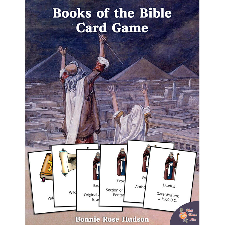 Bible Stories Notebooking Journal Set (Ages 8-13